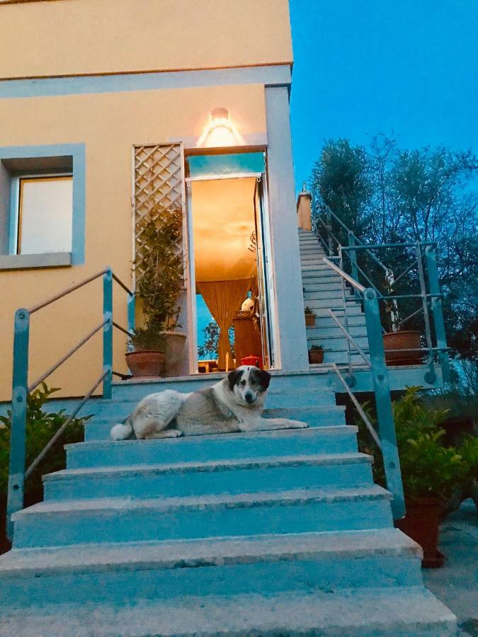 Le Palombelle Casa Vacanze Otranto Dış mekan fotoğraf