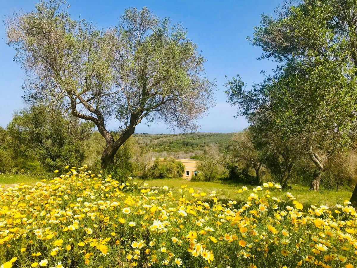 Le Palombelle Casa Vacanze Otranto Dış mekan fotoğraf